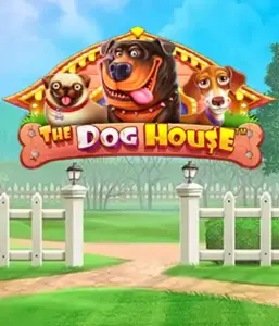 From Pragmatic Play comes The Dog House, bringing you a delightful adventure through playful pups. Discover gameplay elements including free spins, perfect for delivering entertaining gameplay. Ideal for pet lovers a cheerful atmosphere with a chance for big wins.