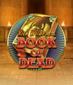 Enter the thrilling world of Book of Dead Slot by Play'n GO, featuring vivid graphics of Rich Wilde's journey through ancient Egyptian tombs and artifacts. Find lost riches with captivating mechanics like free spins, expanding icons, and a gamble option. Ideal for adventure enthusiasts with a desire for thrilling discoveries.