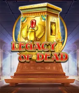 Try the Legacy of Dead slot by Play'n GO with complimentary spins and growing symbols, beginning with bets from $0.10.